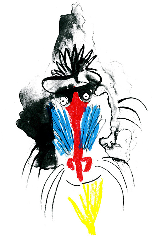Lorna Scobie Illustration #ink #animal