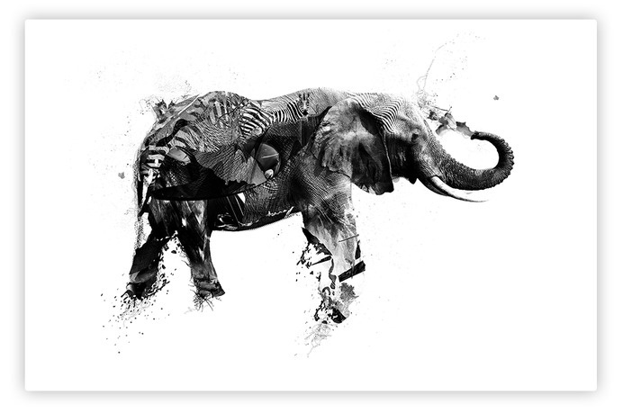 alcalay. art director & digital designer #digital #art