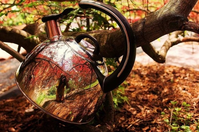 The Tea Kettle Adventures: Reflected Self-Portraits by Esha Biswas