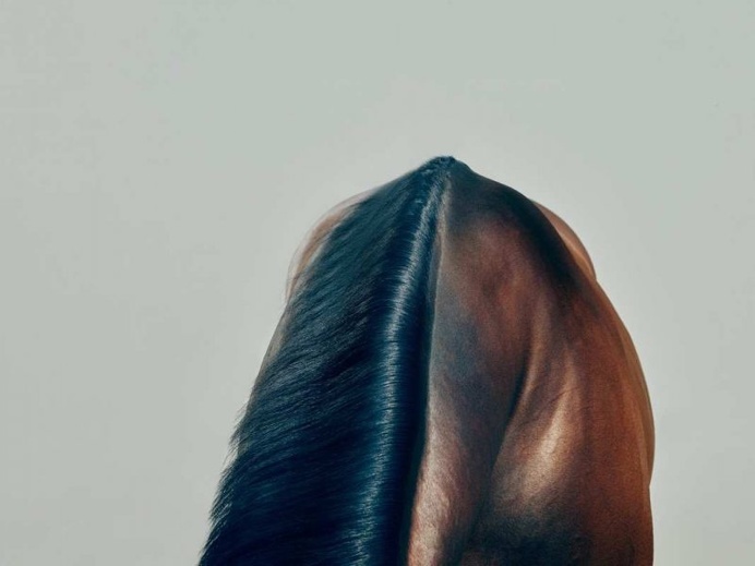 Stunning Minimalist and Conceptual Photography by Nick Ballon