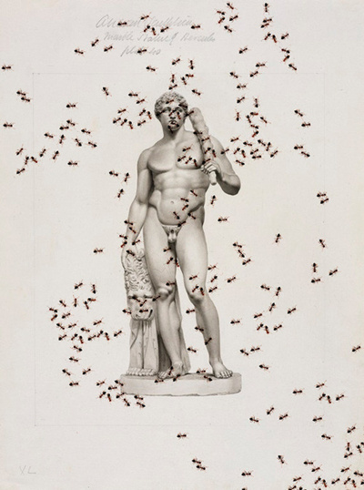 bookmark ( insect series ) by Vittorio Ciccarelli #sculpture #vittorio #illustration #art #man #ciccarelli #ants