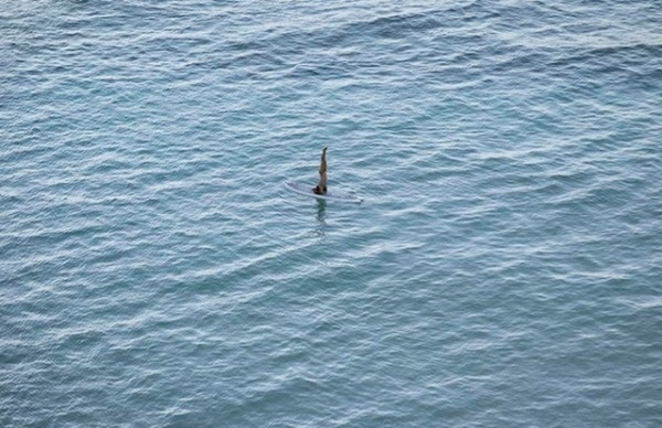 Photography by Richard Misrach #inspiration #photography