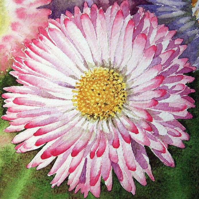 daisy painting & daisy paint by number #painting