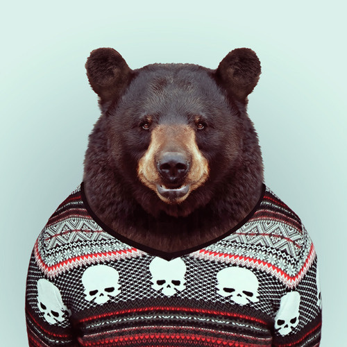 Yago Partal: Zoo Portraits #photography #zoo #art #portrait