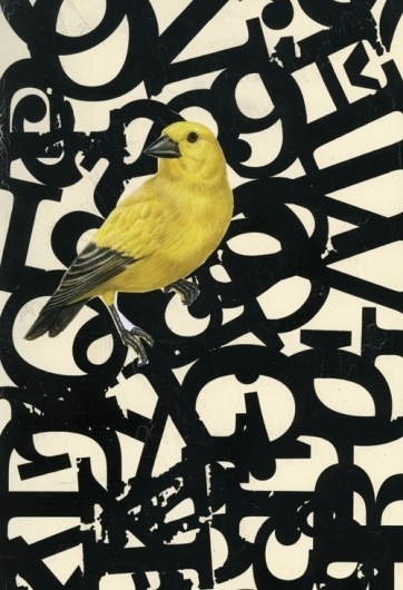 Buamai - Untitled #design #graphic #bird #poster #typography