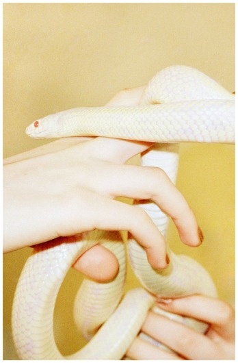 M O O D #snake