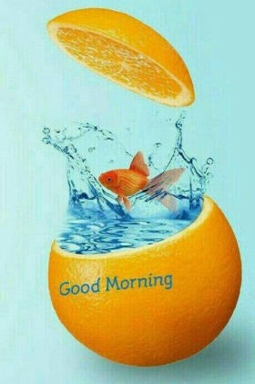 good morning images