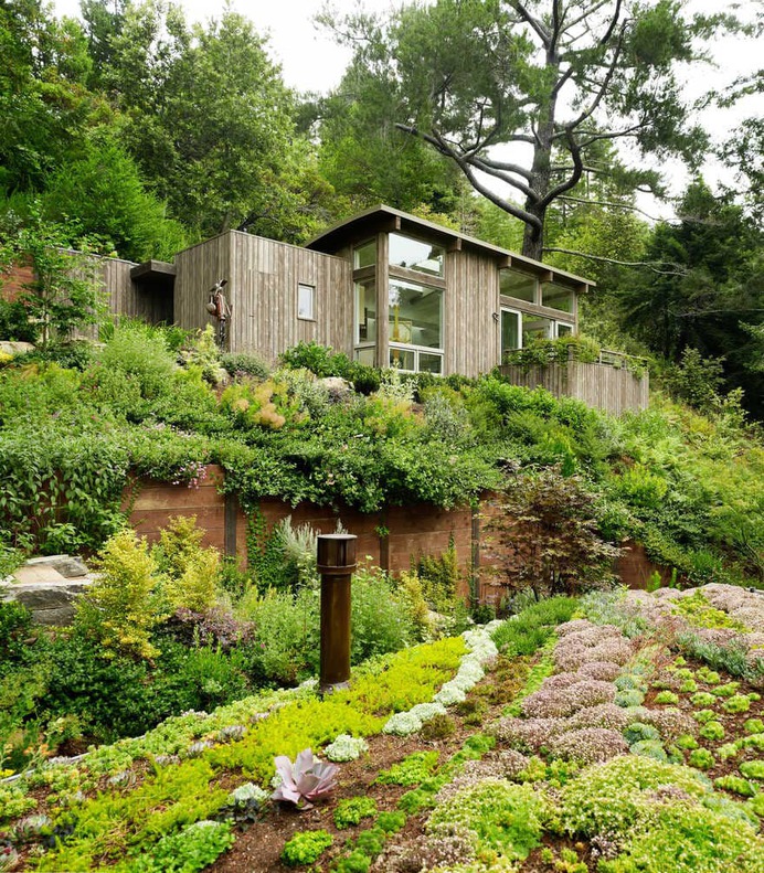 retreat, California / Feldman Architecture