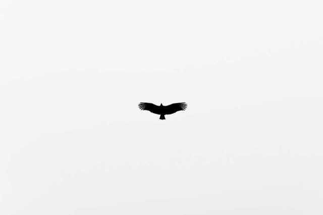 Photography by Sara Fields #inspiration #photography #art
