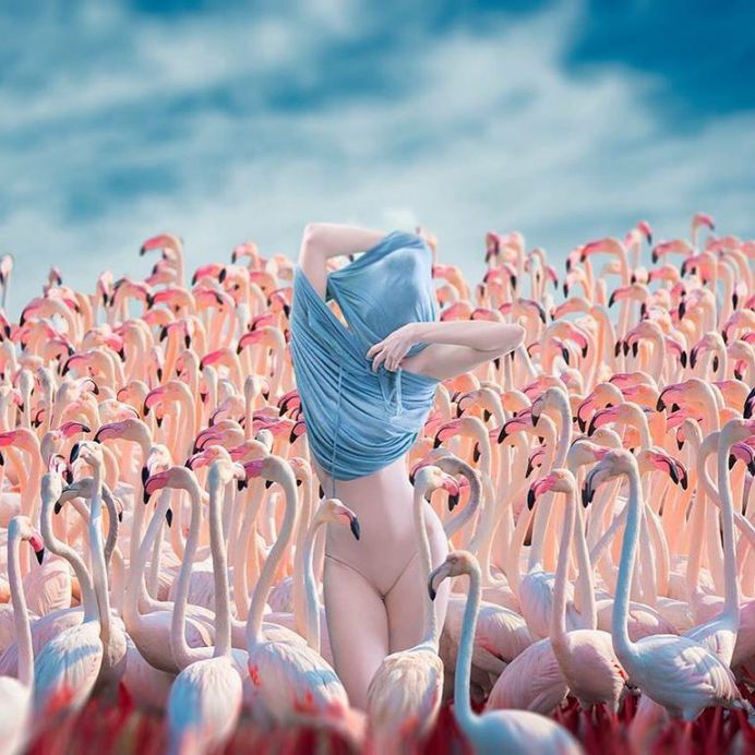 Creative and Ethereal Photo Manipulations by Elena Vizerskaya