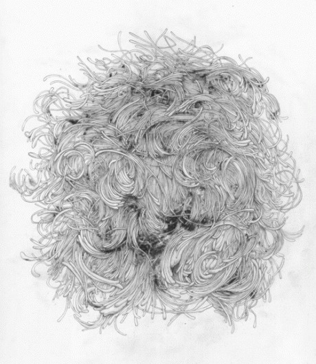 Chimes&Rhymes | innovative design and new techniques in visual artistry #swoosh #pencil #tangle #drawing