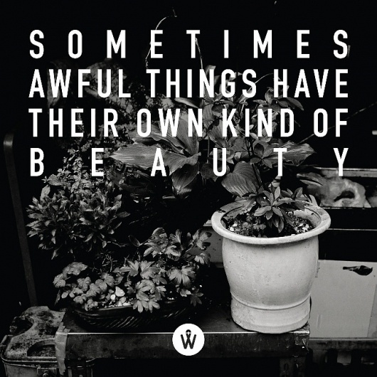 PHOTO QUOTE / February - PHOTO QUOTE #photoquote #quote #photo #design #graphic #alanderwong #typography
