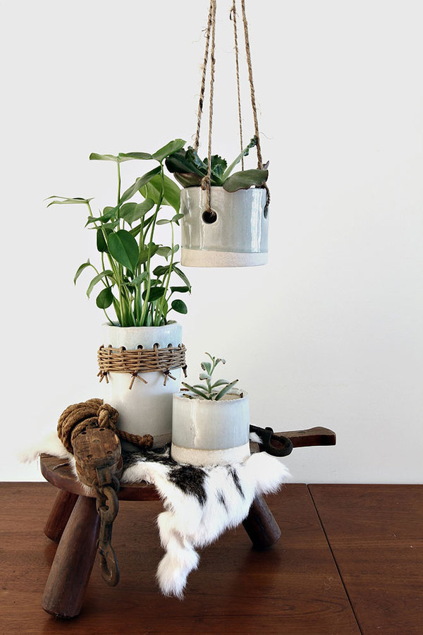 tw workshop #flora #plants #spots #workshop #tw