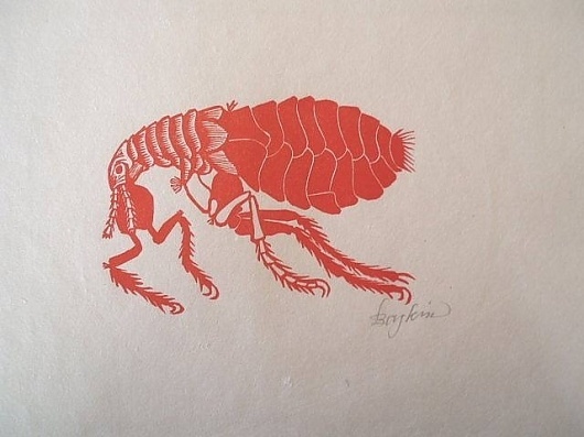 artnet Galleries: Flea by Leonard Baskin from Kornelia Tamm Fine Arts
