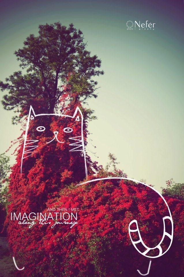 And then i met IMAGINATION along this journey ♥ | la fotografía | #graphics #photography #concept