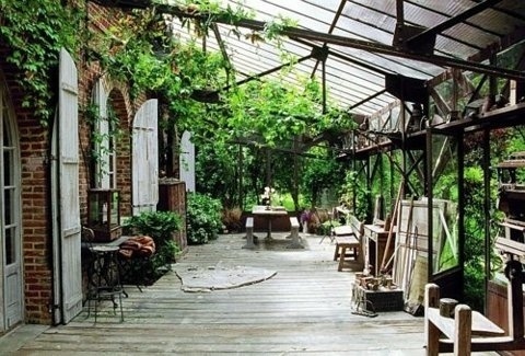 FFFFOUND! | Undivided mind #plants #green