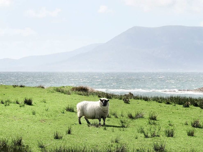 South West Ireland by Claire Droppert