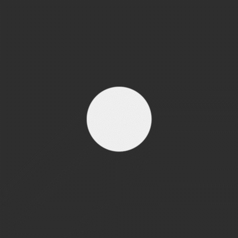 FFFFOUND! | chrysanth #chrysanth