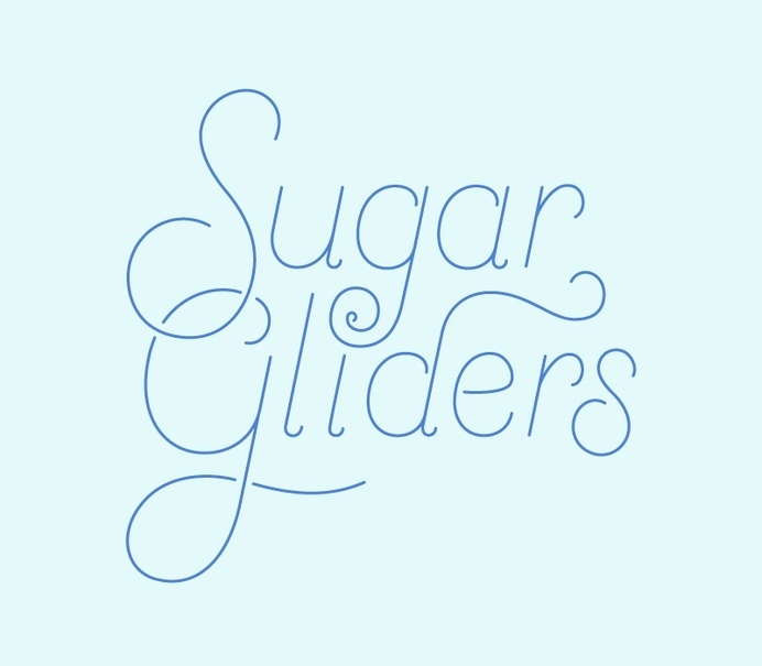 Anne Lee Designs – www.anneleedesigns.com #lettering #type #sugar gliders