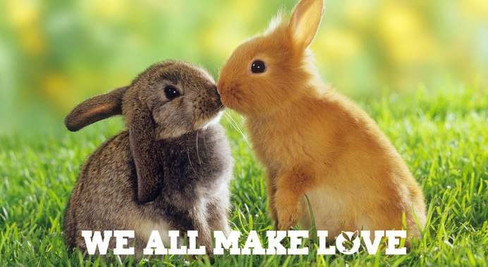 #playboy #bunnies #advertisement #logos #creative #branding