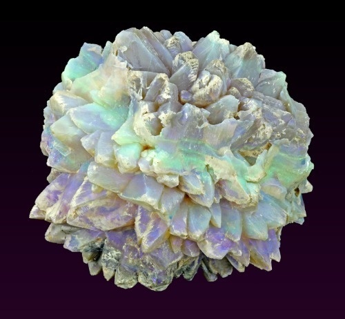 OTAKU GANGSTA #colour #mineral