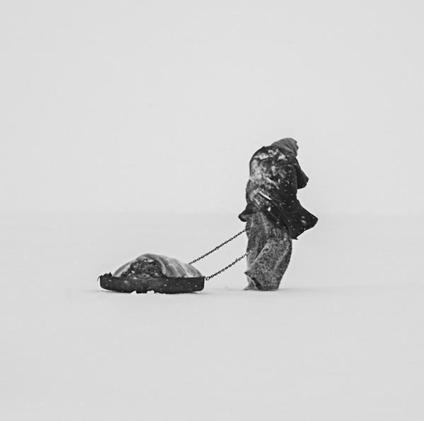 Troy Moth | PICDIT