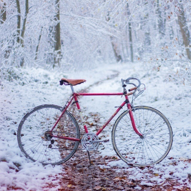 Jan Kloke - Cold Winter Bike Ride #white #ride #cold #road #vintage #bike #brooks #tour #winter