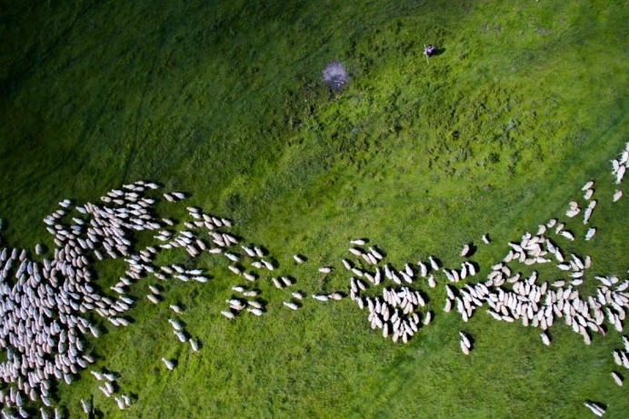 Winners of The Dronestagram's Third Aerial Photography Contest