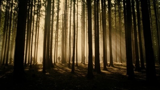 tracer bullets scratched scarlet lines across the sky. - decapitate animals #forest #light #trees #photogrpahy