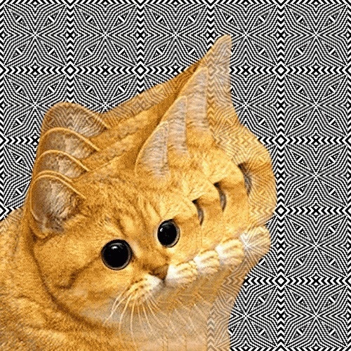 Cakehead Loves Evil | Page 2 #animated #cat #gif #trippy