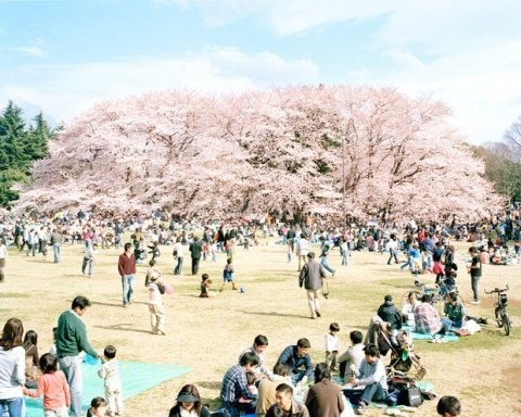 Nobuto Osakabe | PICDIT #photo #photography #landscape