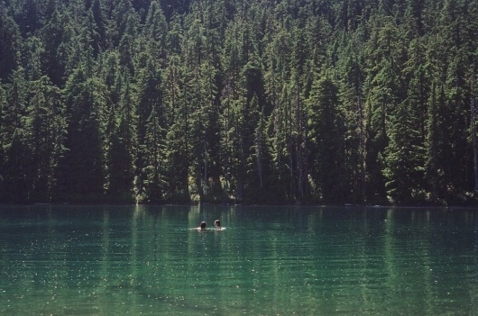 All sizes | Untitled | Flickr - Photo Sharing! #nature #photography #film #lake #trees