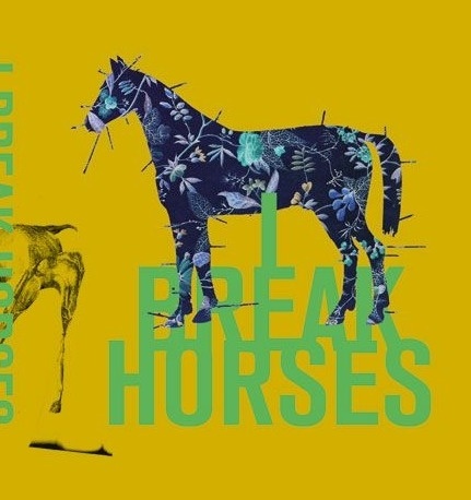 I break horses #album #cover #illustration