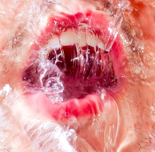 Joe Amella Jr. « PICDIT #photo #photography