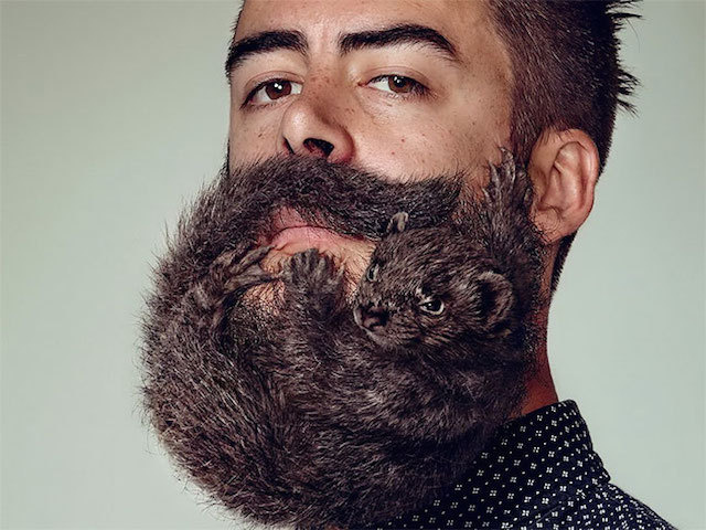schick-4 #picture #finspiration