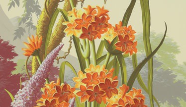 Wallpapers | de Gournay