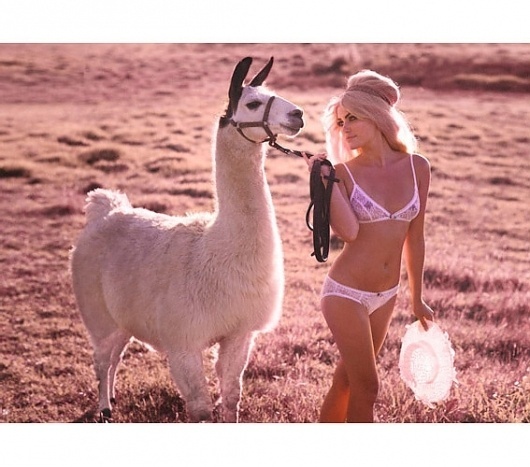 luxury vintage inspired swimwear by Jemma Jube #jemma #lama #jube #girl