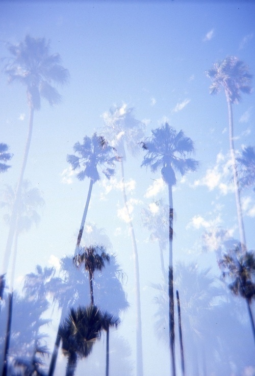 Elizabetty Spaghetti #photography #film