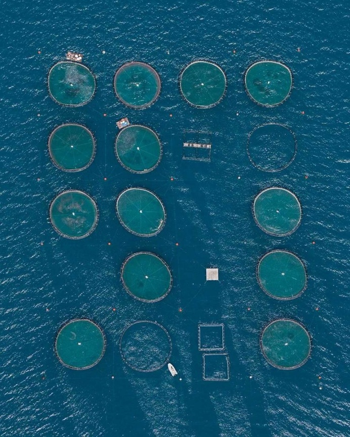 Fish Farms: Intensive Mass Fish Farming in Greece by Bernhard Lang