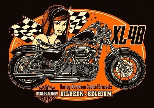 02c89307c6ea2c3933cdc5d7a1ebd6b2.jpg 600×424 pixels #girl #harley #vicente #bike #davidson #david