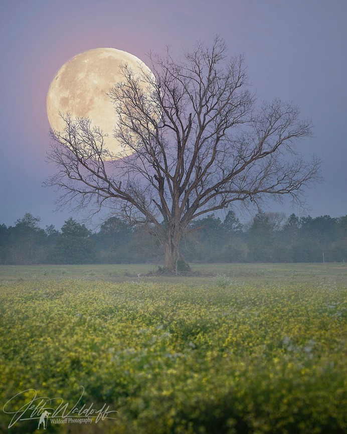 Incredible Landscape Photography in Florida by Jeff Waldorff