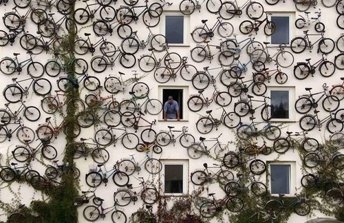 tumblr_l7fe66pF1E1qd6hzlo1_500.jpg (500×324) #bike