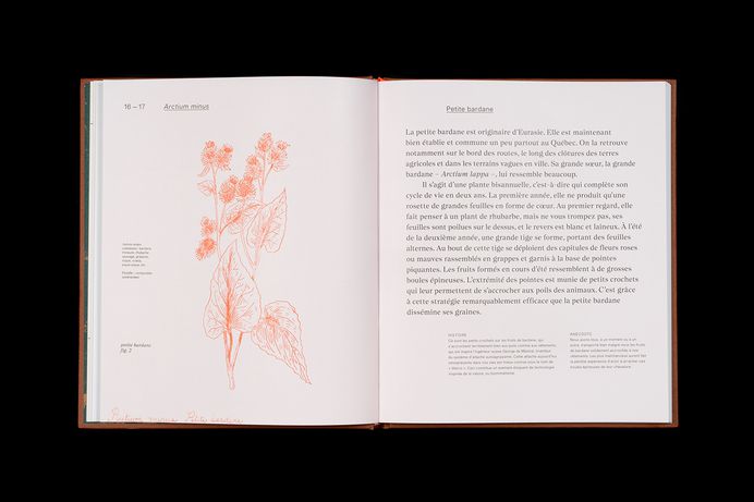 Un herbier de Montréal on Behance