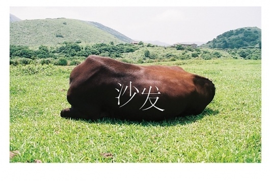 _ Jacky W.H.T Design #chinese #nature #home #typography