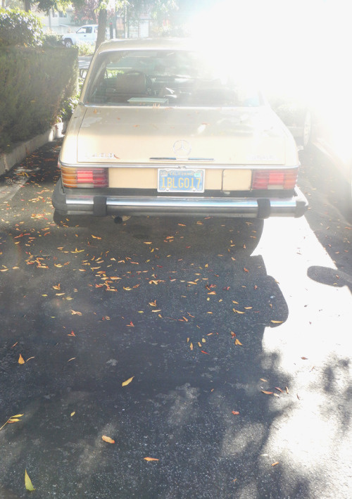 _CA __california ___car PHOTOGRAPHIE © [ catrin mackowski ]
