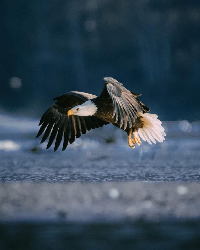 Spectacular Photos of British Columbia Landscapes by Ian Harland