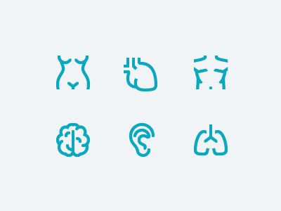 Anatomy dribbble 01