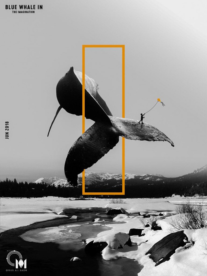 Imagination whale | Poster Design