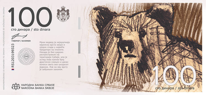 bear