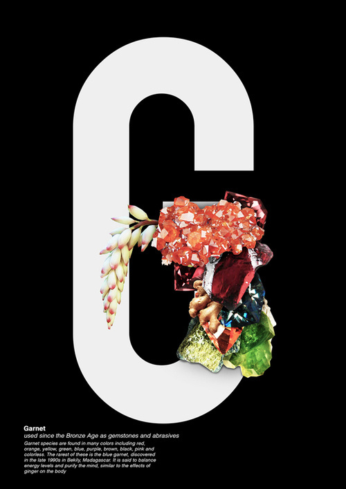 jvnk:Natural History TypeBy Sleep Projects #gc